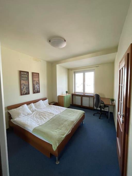 Apartman Obchodna 布拉迪斯拉发 外观 照片